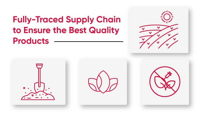 Barentz Supply chain